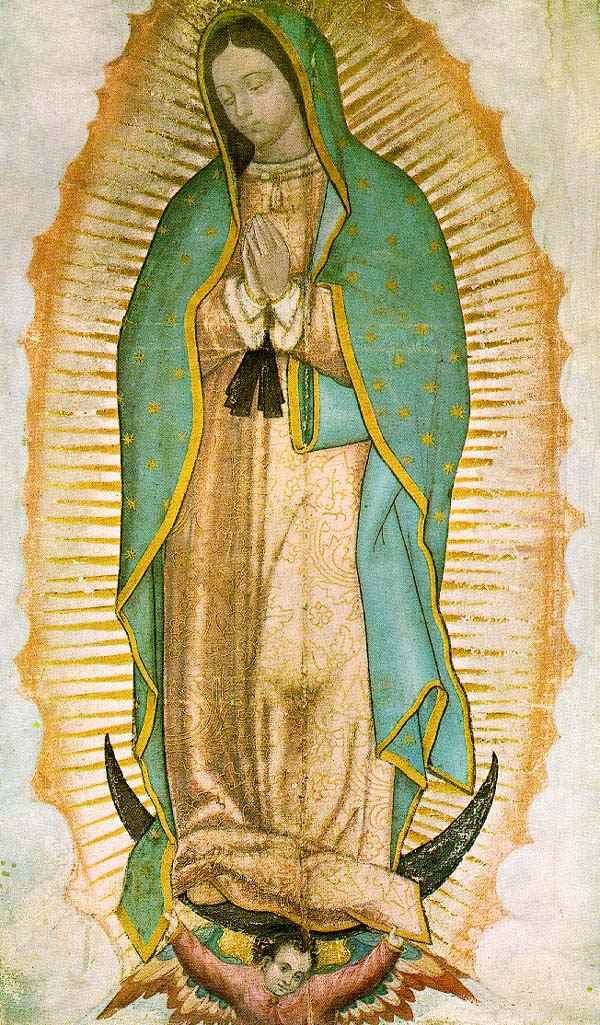 Our Lady of Guadalupe Pray for Us! The Simple Catholic